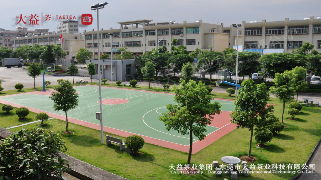 球場(chǎng) 球場(chǎng)