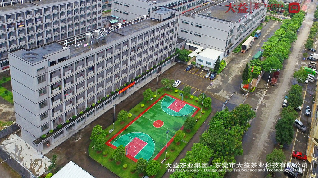 公司全景 公司全景